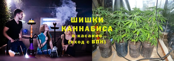 индика Вяземский